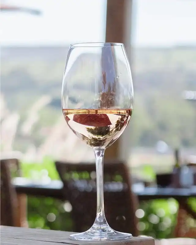 Taça de vinho com vista da natureza ao fundo — Vila Itália Restaurante em Piracicaba